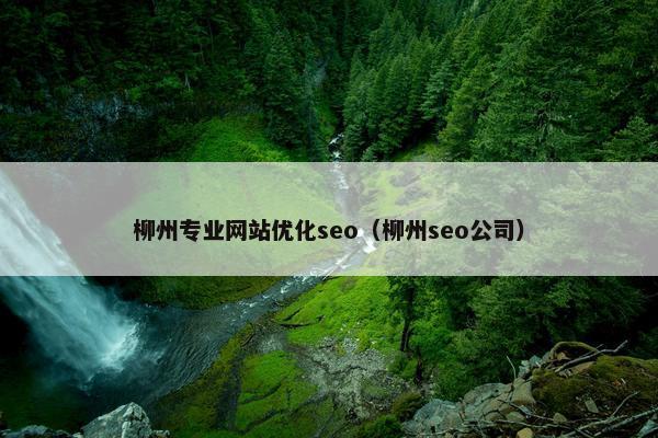 柳州专业网站优化seo（柳州seo公司）