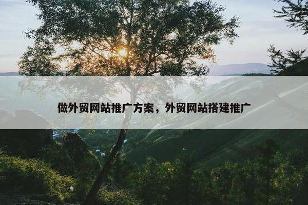 做外贸网站推广方案，外贸网站搭建推广