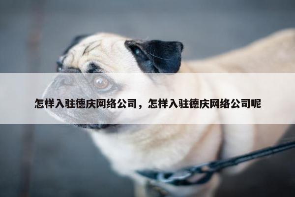 怎样入驻德庆网络公司，怎样入驻德庆网络公司呢