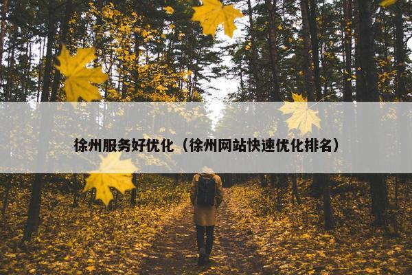 徐州服务好优化（徐州网站快速优化排名）