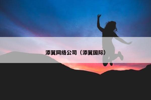 添翼网络公司（添翼国际）
