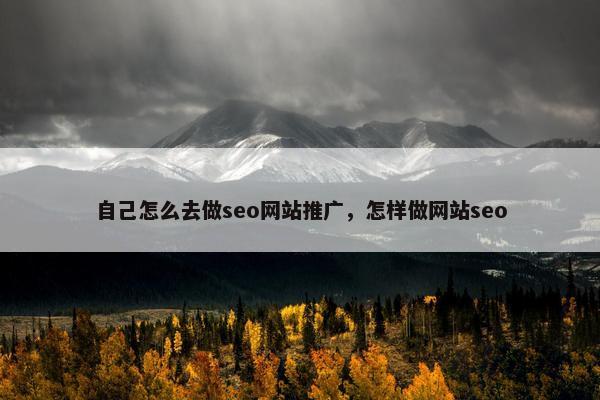 自己怎么去做seo网站推广，怎样做网站seo