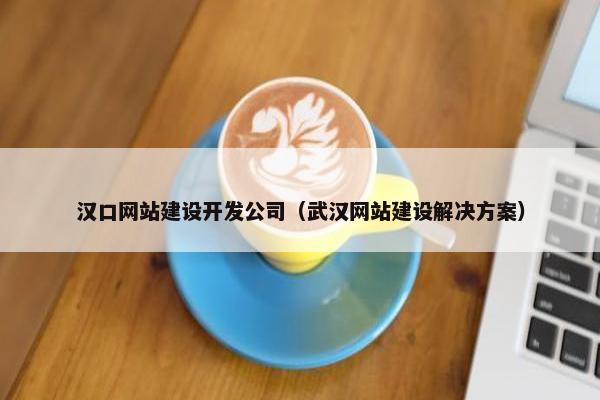 汉口网站建设开发公司（武汉网站建设解决方案）
