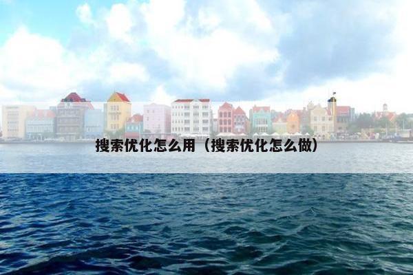 搜索优化怎么用（搜索优化怎么做）