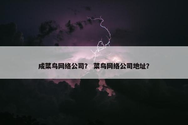 成菜鸟网络公司？ 菜鸟网络公司地址？