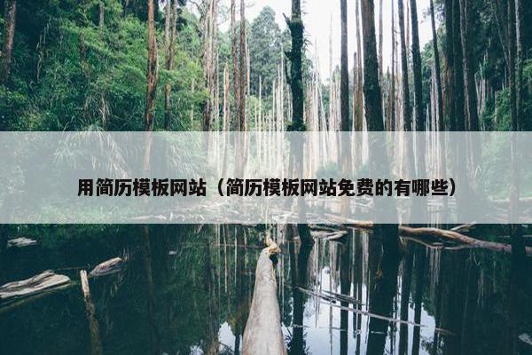 用简历模板网站（简历模板网站免费的有哪些）