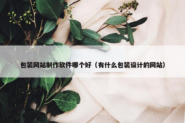 包装网站制作软件哪个好（有什么包装设计的网站）