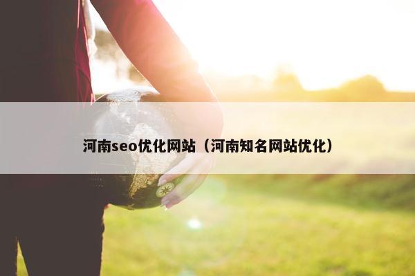 河南seo优化网站（河南知名网站优化）