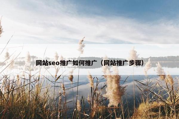 网站seo推广如何推广（网站推广步骤）