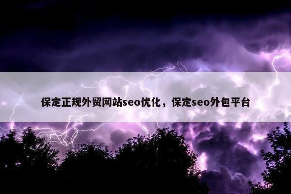 保定正规外贸网站seo优化，保定seo外包平台