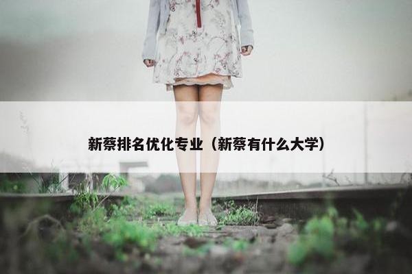 新蔡排名优化专业（新蔡有什么大学）