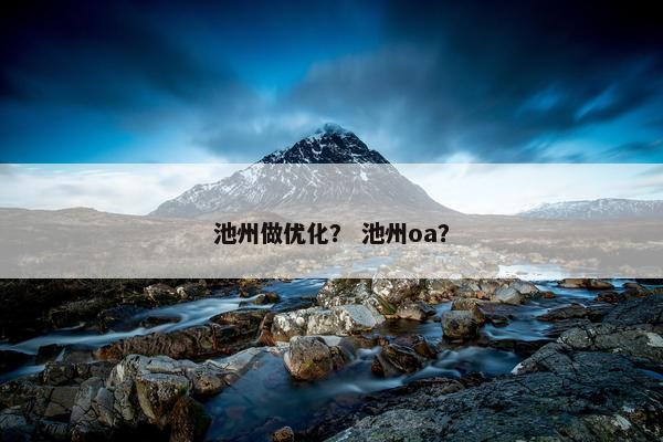 池州做优化？ 池州oa？