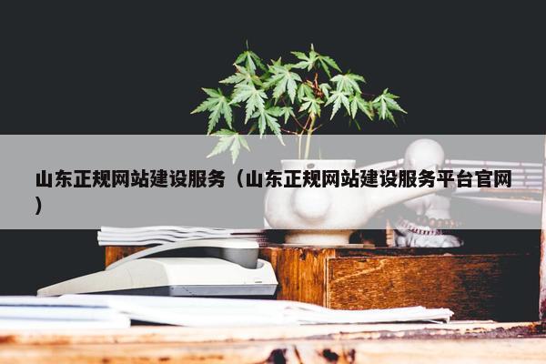 山东正规网站建设服务（山东正规网站建设服务平台官网）