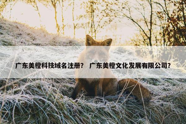 广东美橙科技域名注册？ 广东美橙文化发展有限公司？