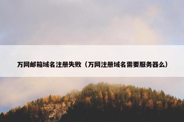 万网邮箱域名注册失败（万网注册域名需要服务器么）