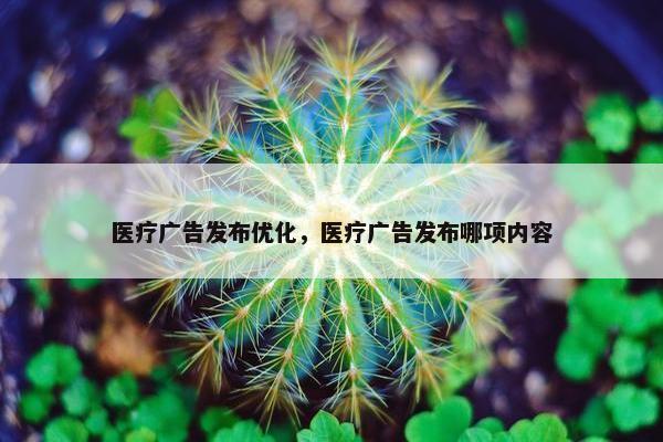 医疗广告发布优化，医疗广告发布哪项内容
