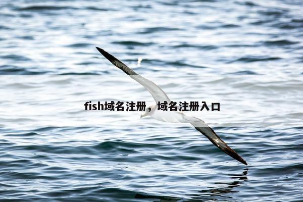fish域名注册，域名注册入口