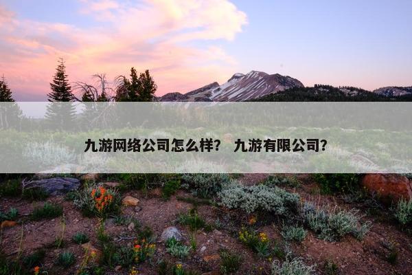 九游网络公司怎么样？ 九游有限公司？