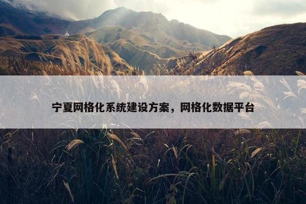宁夏网格化系统建设方案，网格化数据平台
