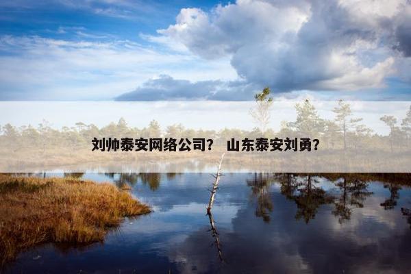 刘帅泰安网络公司？ 山东泰安刘勇？