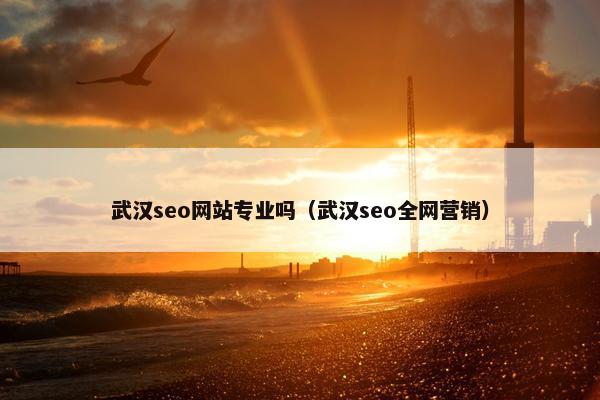 武汉seo网站专业吗（武汉seo全网营销）