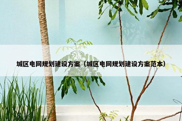 城区电网规划建设方案（城区电网规划建设方案范本）