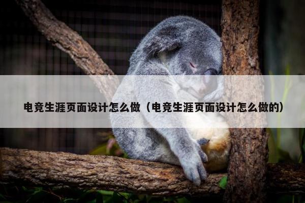 电竞生涯页面设计怎么做（电竞生涯页面设计怎么做的）