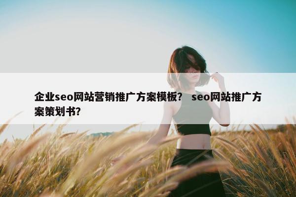 企业seo网站营销推广方案模板？ seo网站推广方案策划书？