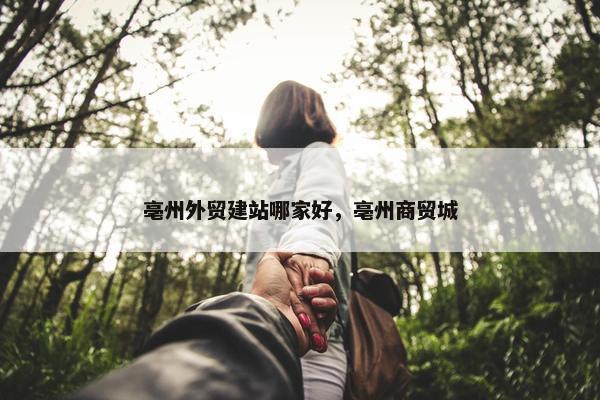 亳州外贸建站哪家好，亳州商贸城