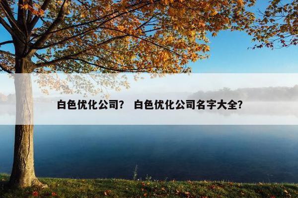 白色优化公司？ 白色优化公司名字大全？