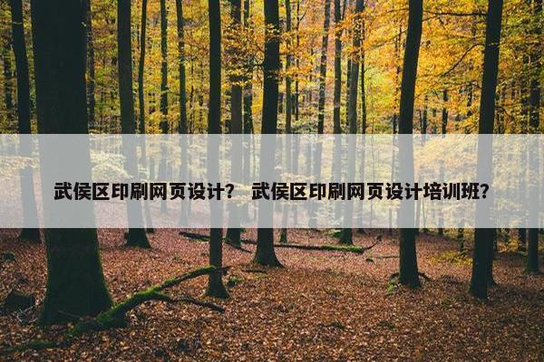 武侯区印刷网页设计？ 武侯区印刷网页设计培训班？