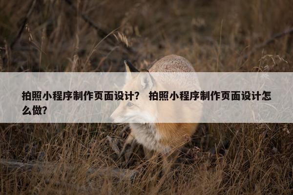 拍照小程序制作页面设计？ 拍照小程序制作页面设计怎么做？