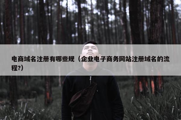 电商域名注册有哪些规（企业电子商务网站注册域名的流程?）