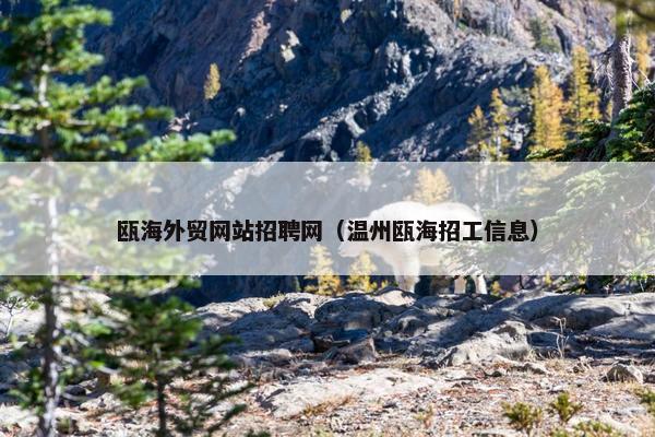 瓯海外贸网站招聘网（温州瓯海招工信息）