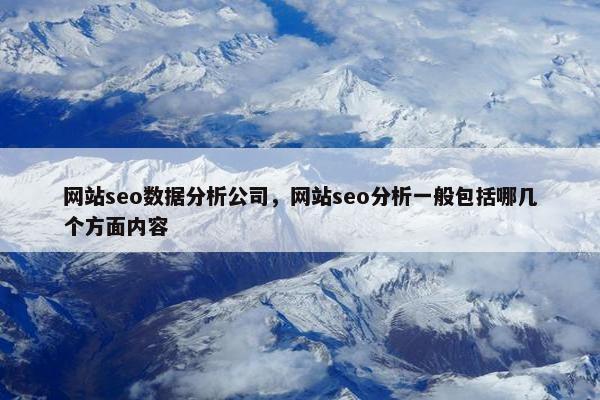网站seo数据分析公司，网站seo分析一般包括哪几个方面内容