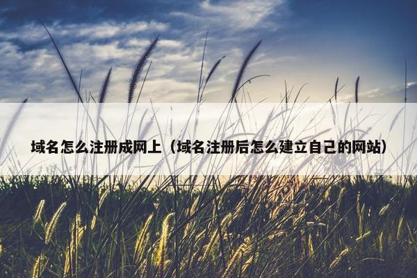 域名怎么注册成网上（域名注册后怎么建立自己的网站）