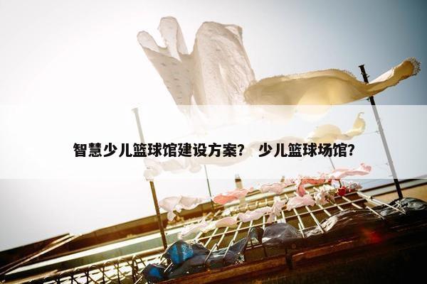 智慧少儿篮球馆建设方案？ 少儿篮球场馆？