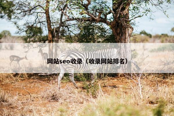 网站seo收录（收录网站排名）