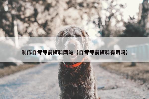 制作自考考前资料网站（自考考前资料有用吗）