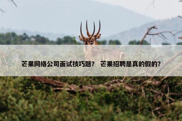 芒果网络公司面试技巧题？ 芒果招聘是真的假的？