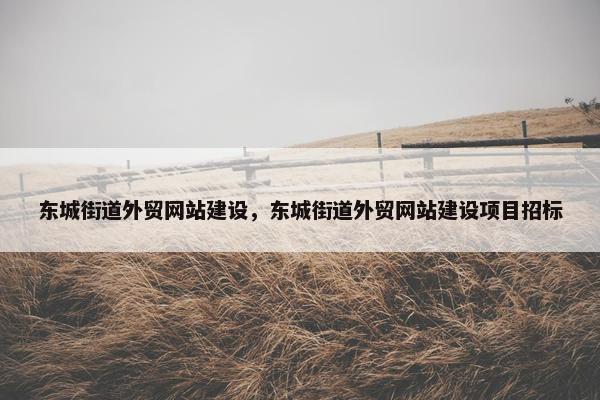 东城街道外贸网站建设，东城街道外贸网站建设项目招标