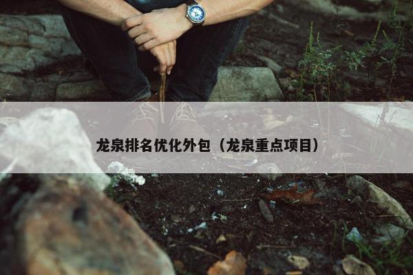 龙泉排名优化外包（龙泉重点项目）