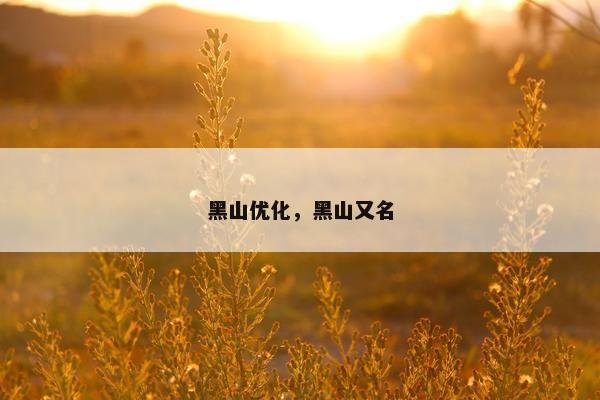 黑山优化，黑山又名