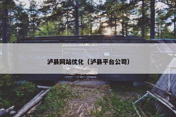泸县网站优化（泸县平台公司）