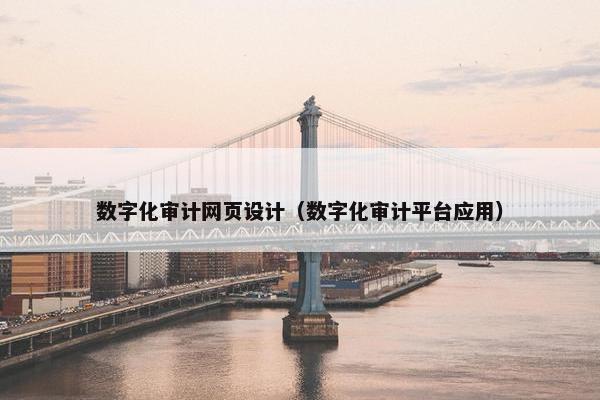 数字化审计网页设计（数字化审计平台应用）