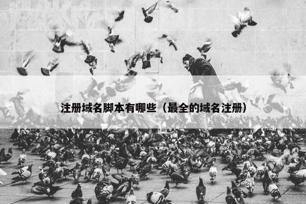 注册域名脚本有哪些（最全的域名注册）
