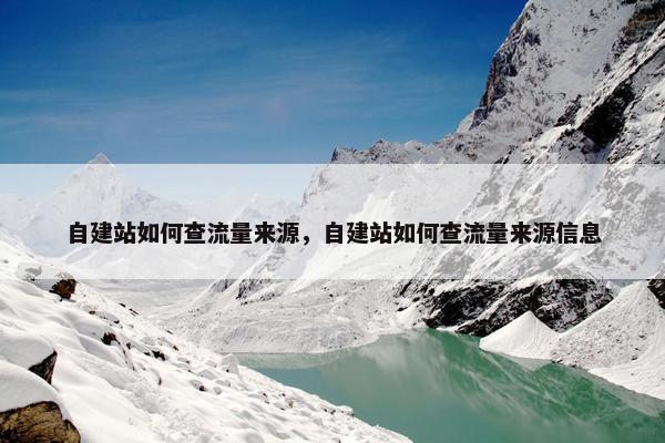 自建站如何查流量来源，自建站如何查流量来源信息