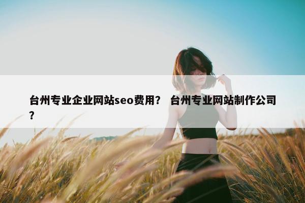 台州专业企业网站seo费用？ 台州专业网站制作公司？