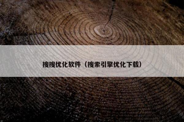 搜搜优化软件（搜索引擎优化下载）