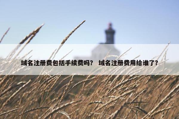 域名注册费包括手续费吗？ 域名注册费用给谁了？